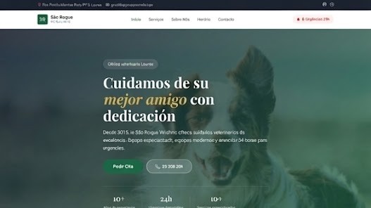 Web de clínica veterinaria anticuada antes del rediseño